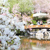 Setagaya Park