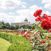 Květnová Vídeň/Wien im Mai